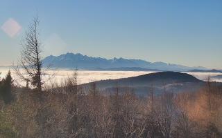 Jaworzyna Krynicka 2 - 13-12-2025 12:23