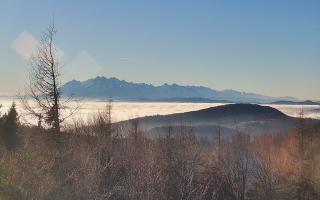 Jaworzyna Krynicka 2 - 13-12-2025 12:38