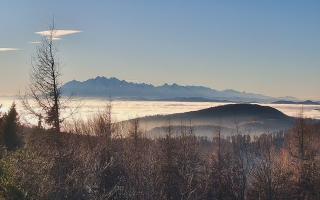 Jaworzyna Krynicka 2 - 13-12-2025 13:01