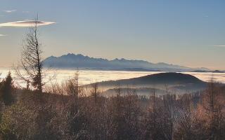 Jaworzyna Krynicka 2 - 13-12-2025 13:16