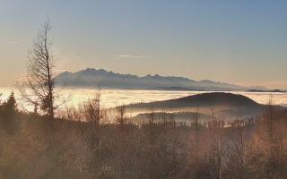 Jaworzyna Krynicka 2 - 13-12-2025 13:32