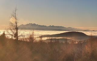 Jaworzyna Krynicka 2 - 13-12-2025 13:47