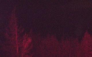 Jaworzyna Krynicka 2 - 13-12-2025 16:34