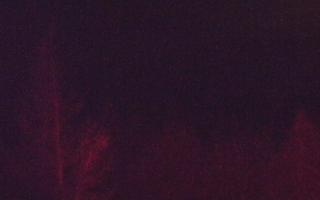 Jaworzyna Krynicka 2 - 13-12-2025 16:49