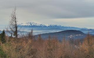 Jaworzyna Krynicka 2 - 18-12-2025 09:35