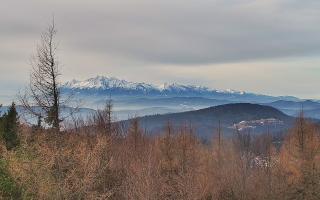 Jaworzyna Krynicka 2 - 18-12-2025 09:43