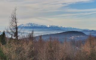 Jaworzyna Krynicka 2 - 18-12-2025 10:06