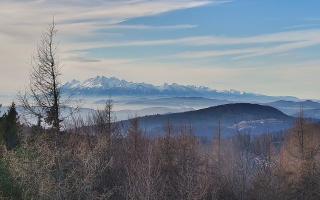 Jaworzyna Krynicka 2 - 18-12-2025 10:29