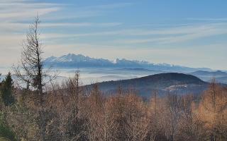 Jaworzyna Krynicka 2 - 18-12-2025 10:51