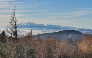 Jaworzyna Krynicka 2 - 18-12-2025 10:59