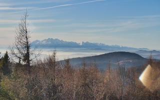 Jaworzyna Krynicka 2 - 18-12-2025 11:14