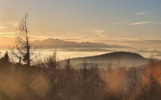 Jaworzyna Krynicka 2 - 18-12-2025 13:54