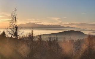 Jaworzyna Krynicka 2 - 18-12-2025 14:01