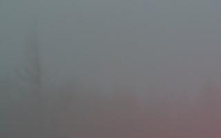 Jaworzyna Krynicka 2 - 19-12-2025 05:58