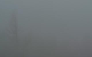 Jaworzyna Krynicka 2 - 19-12-2025 06:13