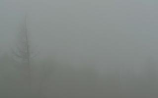 Jaworzyna Krynicka 2 - 19-12-2025 06:29