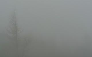 Jaworzyna Krynicka 2 - 19-12-2025 06:36