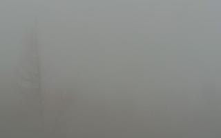 Jaworzyna Krynicka 2 - 19-12-2025 06:44