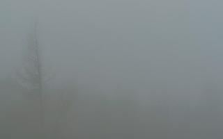 Jaworzyna Krynicka 2 - 19-12-2025 06:51