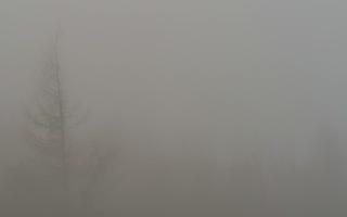 Jaworzyna Krynicka 2 - 19-12-2025 07:07