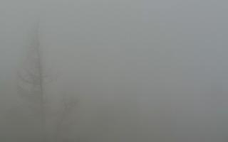 Jaworzyna Krynicka 2 - 19-12-2025 07:14