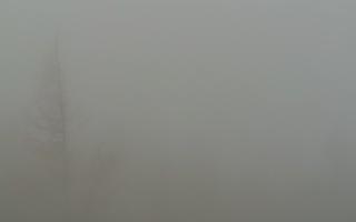 Jaworzyna Krynicka 2 - 19-12-2025 07:22