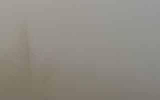 Jaworzyna Krynicka 2 - 19-12-2025 07:29