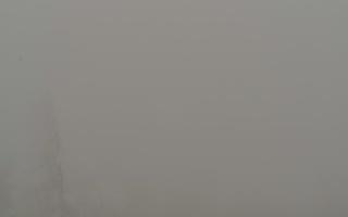 Jaworzyna Krynicka 2 - 29-01-2026 11:53