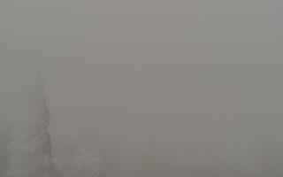 Jaworzyna Krynicka 2 - 29-01-2026 12:08