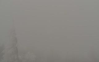 Jaworzyna Krynicka 2 - 29-01-2026 12:16