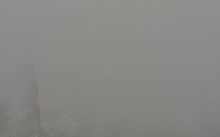 Jaworzyna Krynicka 2 - 29-01-2026 12:31