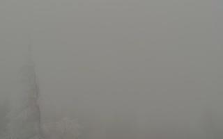 Jaworzyna Krynicka 2 - 29-01-2026 12:38