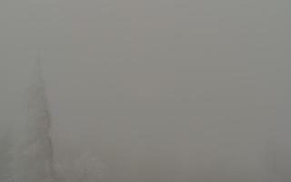 Jaworzyna Krynicka 2 - 29-01-2026 12:46