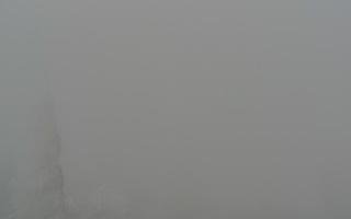 Jaworzyna Krynicka 2 - 29-01-2026 13:09