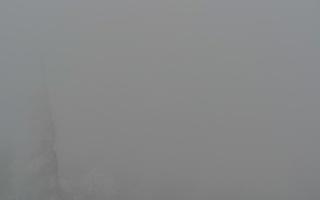 Jaworzyna Krynicka 2 - 29-01-2026 13:16