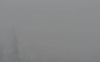 Jaworzyna Krynicka 2 - 29-01-2026 13:24