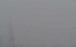 Jaworzyna Krynicka 2 - 29-01-2026 13:32