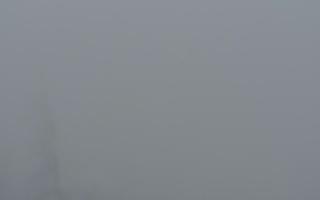 Jaworzyna Krynicka 2 - 29-01-2026 13:39