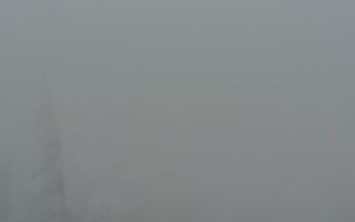 Jaworzyna Krynicka 2 - 29-01-2026 13:54