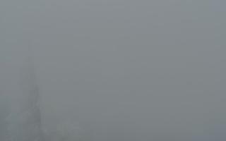 Jaworzyna Krynicka 2 - 29-01-2026 14:02