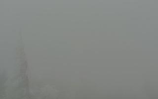 Jaworzyna Krynicka 2 - 29-01-2026 14:10