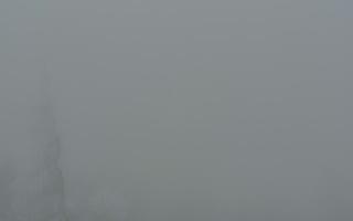 Jaworzyna Krynicka 2 - 29-01-2026 14:17