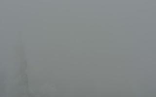 Jaworzyna Krynicka 2 - 29-01-2026 14:25