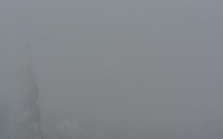 Jaworzyna Krynicka 2 - 29-01-2026 14:40