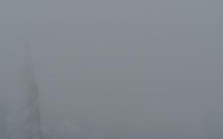 Jaworzyna Krynicka 2 - 29-01-2026 14:48