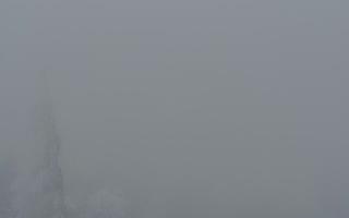 Jaworzyna Krynicka 2 - 29-01-2026 14:55