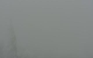 Jaworzyna Krynicka 2 - 29-01-2026 15:03