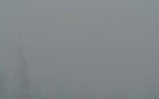 Jaworzyna Krynicka 2 - 29-01-2026 15:10