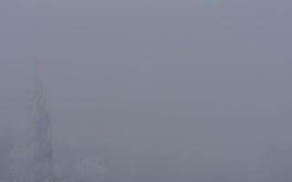 Jaworzyna Krynicka 2 - 29-01-2026 15:18