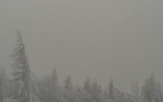 Jaworzyna Krynicka 2 - 01-02-2026 11:54